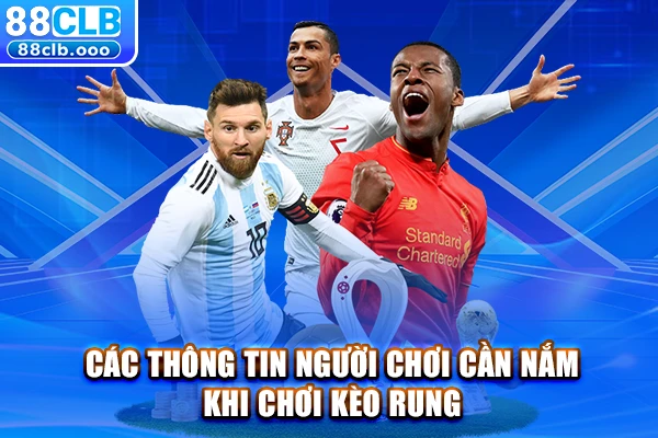 Các thông tin người chơi cần nắm khi chơi kèo rung