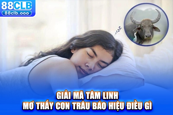 Giải mã tâm linh: Mơ thấy con trâu báo hiệu điều gì?