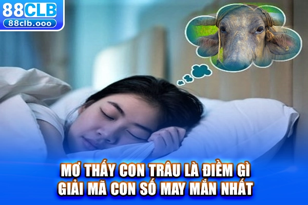 Mơ thấy con trâu